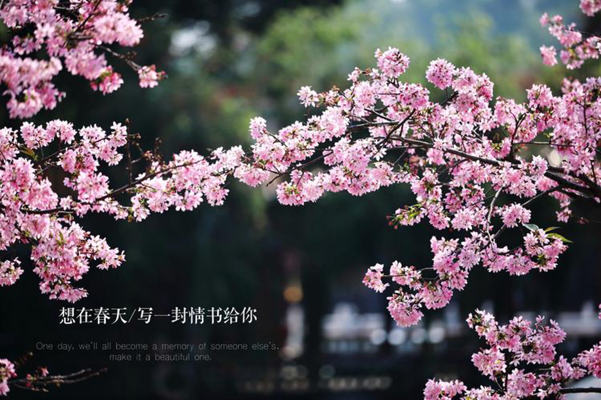 如何送出一份有温度的开业花篮